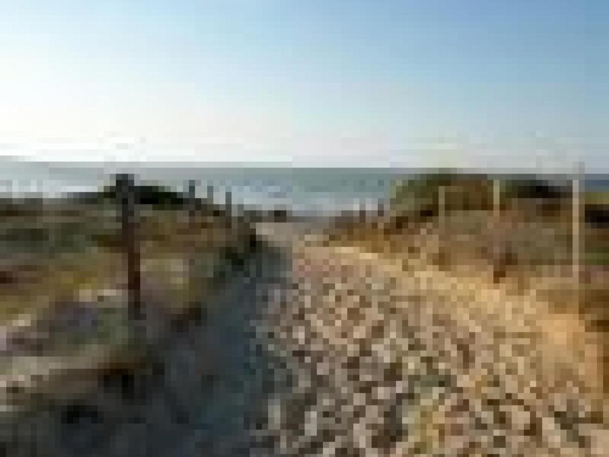 Appartement Cosy A 300M De L'Ocean Au Coeur De La Station - Balcon Et Parking Securise - Fr-1-239-144 Seignosse Luaran gambar
