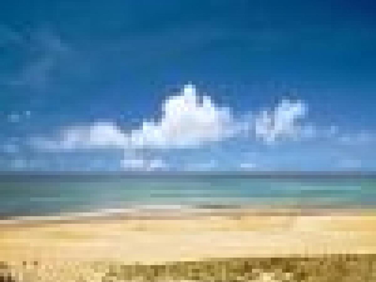 Appartement Cosy A 300M De L'Ocean Au Coeur De La Station - Balcon Et Parking Securise - Fr-1-239-144 Seignosse Luaran gambar